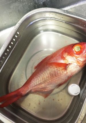 超簡単！魚の鱗取り！飛び散らないの♪-レシピのメイン写真