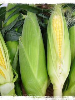 トウモロコシの茹で方と保存法-レシピのメイン写真