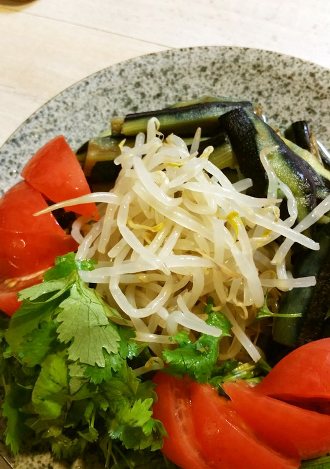 蒸しなすともやしの☆荏胡麻醤油ダレかけ☆-レシピのメイン写真