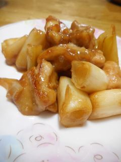 鶏肉とねぎの照焼き-レシピのメイン写真