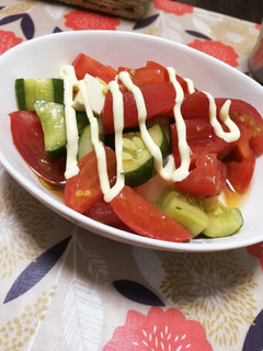トマトときゅうりと豆腐のサラダ-レシピのメイン写真