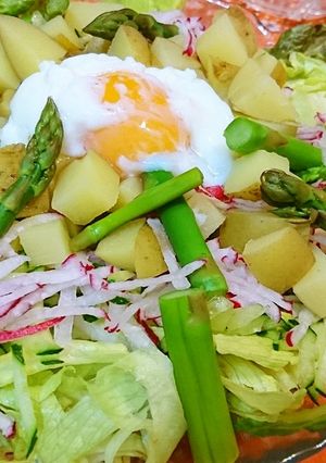 手作りドレッシング★【シーザーサラダ】-レシピのメイン写真