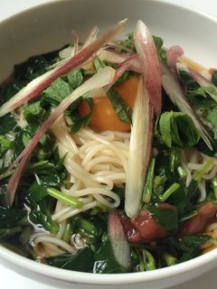 さっぱりモロヘイヤそーめん-レシピのメイン写真