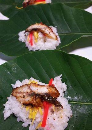 朴葉寿司　鰻入り-レシピのメイン写真
