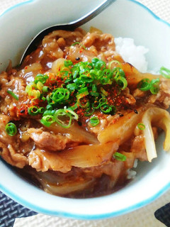 豚肉と玉ねぎの和風甘辛丼~生姜風味~-レシピのメイン写真