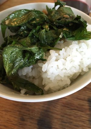 魅惑の合法ハーブ ShiSo-レシピのメイン写真