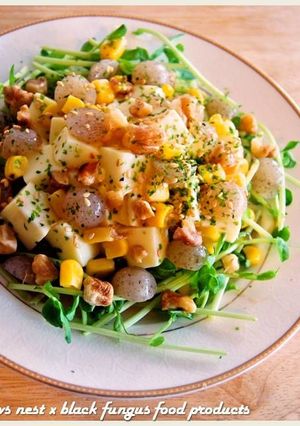 黑Q豆腐玉米核桃沙拉．柯媽媽の植物燕窩-レシピのメイン写真