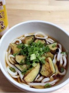 ナスの素揚げうどん!-レシピのメイン写真