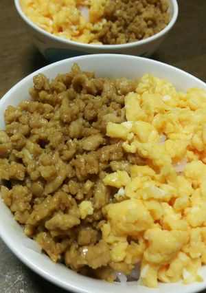 みんな大好き♡二色丼♡お弁当にも!-レシピのメイン写真