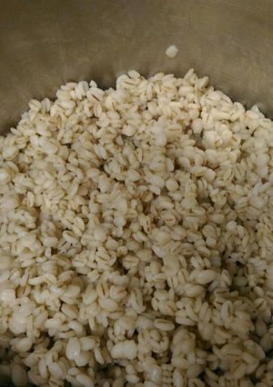 フィスラー圧力鍋で炊く100％麦ご飯-レシピのメイン写真