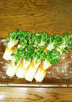 竹輪とかいわれのサラダ-レシピのメイン写真