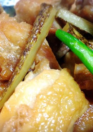 簡単＊鶏肉とゴボウの甘酢炒め煮-レシピのメイン写真