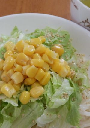 サラダ冷やし塩ラーメン-レシピのメイン写真