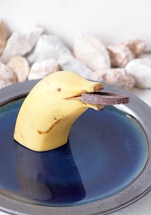 イルカのチョコバナナ-レシピのメイン写真
