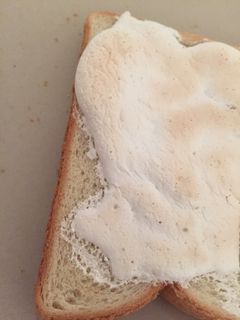 マシュマロチョコトースト-レシピのメイン写真