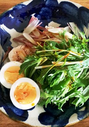ささみと水菜と茗荷のピリ辛和え-レシピのメイン写真
