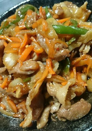 豚肉のプルコギ-レシピのメイン写真