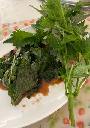 パパ大葉の醤油漬け-レシピのメイン写真