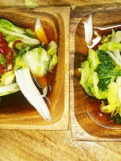 白菜の甘酢漬け☆-レシピのメイン写真