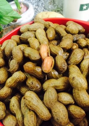 茹で落花生-レシピのメイン写真