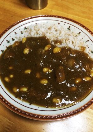 冷凍ハンバーグとおからのカレー-レシピのメイン写真