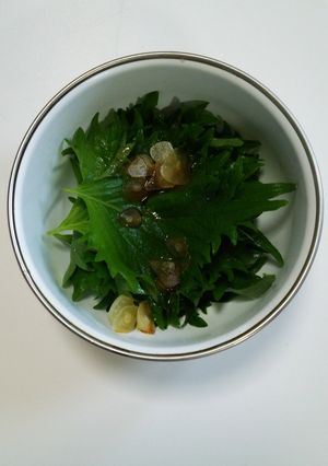 大葉のニンニク醤油漬-レシピのメイン写真