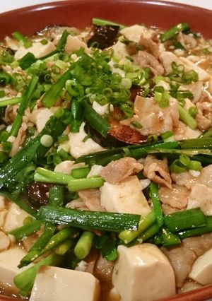 スタミナ料理、麻婆ナス＆豆腐-レシピのメイン写真
