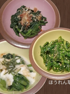 ほうれん草の、ごま和え、とろろ等-レシピのメイン写真