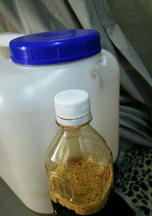 玄米酵母液の覚書-レシピのメイン写真