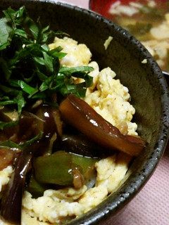 ヘルシー♪夏野菜丼-レシピのメイン写真