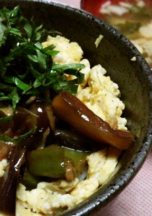 ヘルシー♪夏野菜丼-レシピのメイン写真