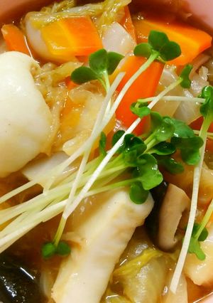 簡単♪白菜とイカの中華餡掛け～中華丼風～-レシピのメイン写真