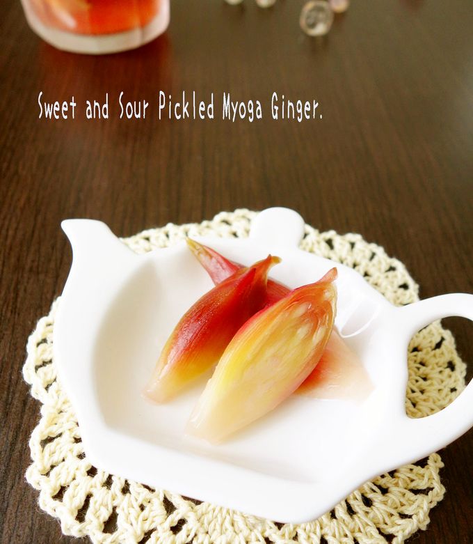 みょうがの甘酢漬け-レシピのメイン写真