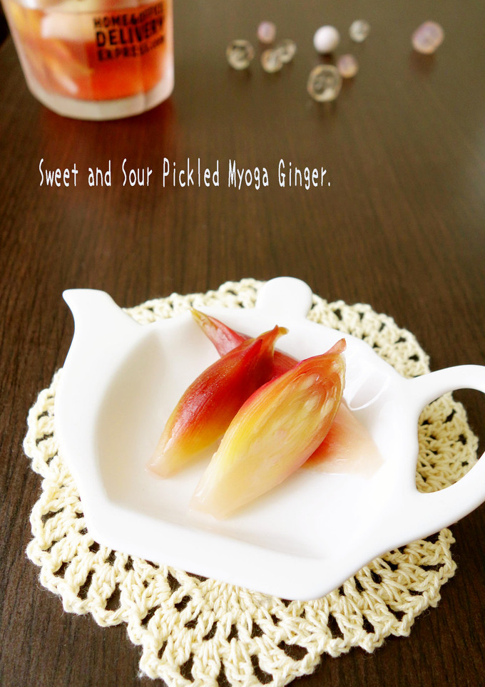 みょうがの甘酢漬け-レシピのメイン写真