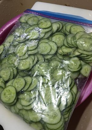 キューリの輪切り冷凍パック-レシピのメイン写真