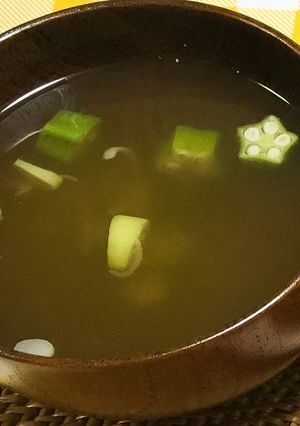 オクラとねぎのさっぱりスープ-レシピのメイン写真