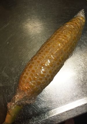 簡単☆トウモロコシのレンジで加熱-レシピのメイン写真