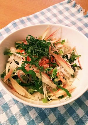 薬味たっぷり♪塩鮭ご飯！-レシピのメイン写真