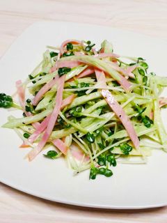 きゅうり&ハム&かいわれ大根のマヨサラダ-レシピのメイン写真