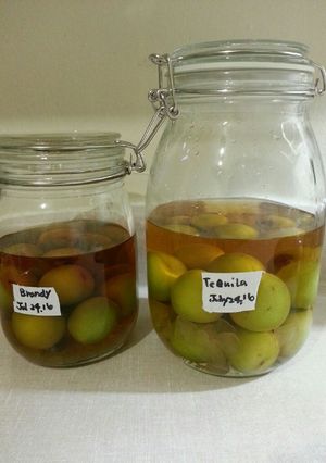 手作り梅酒-レシピのメイン写真
