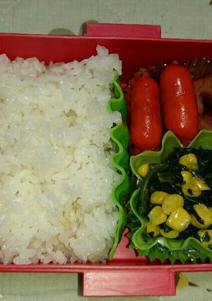 パパが作った娘のお弁当2-レシピのメイン写真