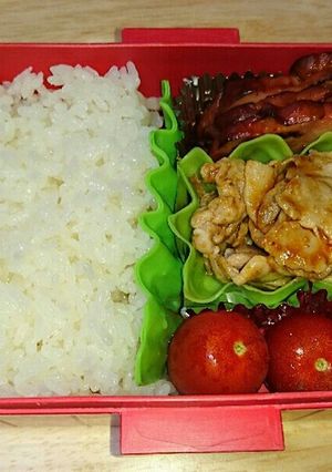 パパが作った娘のお弁当3-レシピのメイン写真