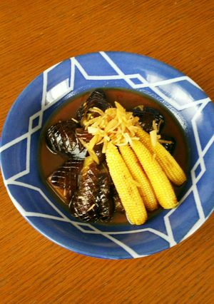 茄子の亀甲煮-レシピのメイン写真