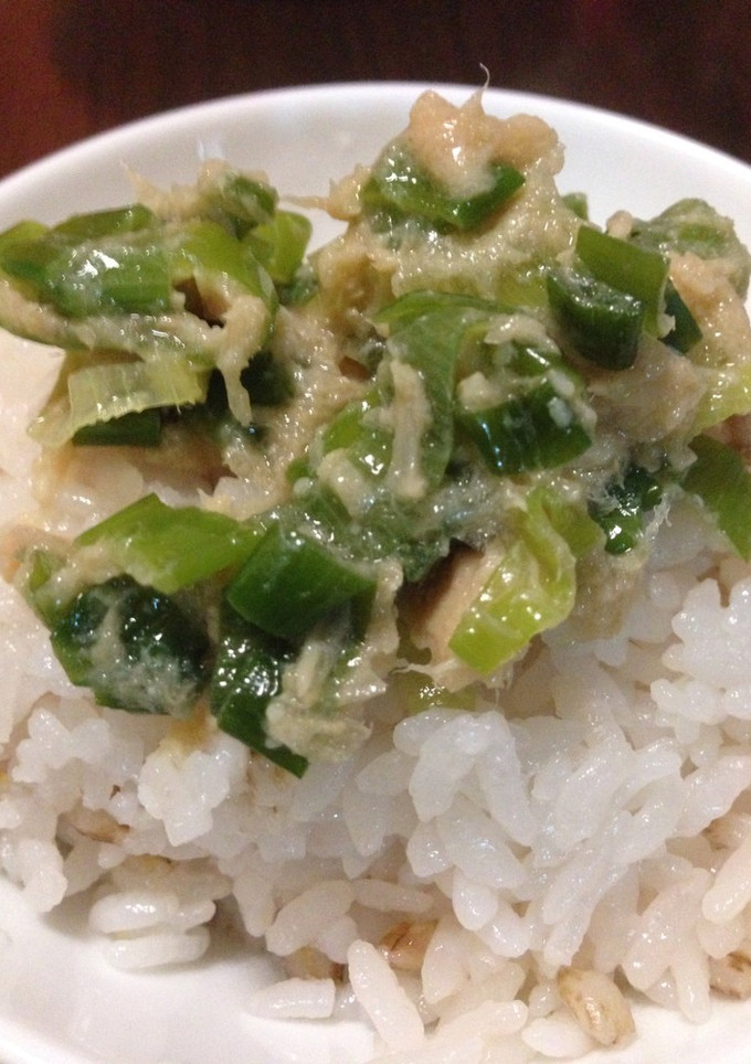 おかわり三杯！ネギの青い部分がご飯の友に-レシピのメイン写真