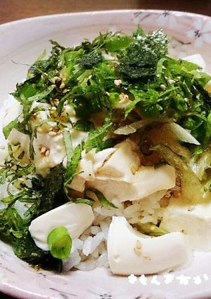 夏に簡単！手抜き豆腐丼～余った薬味救済～-レシピのメイン写真