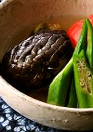 夏野菜の冷やし鉢-レシピのメイン写真