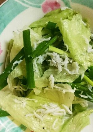 簡単‼レタスとじゃこと細ねぎのサラダ-レシピのメイン写真