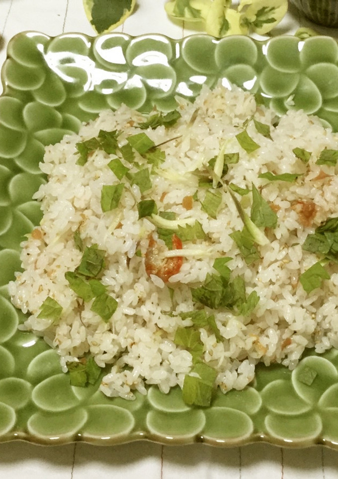 夏ご飯☆梅干し&みょうが飯-レシピのメイン写真