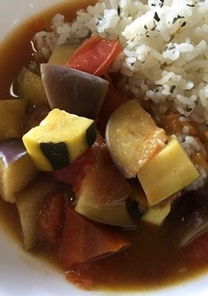レトルトで簡単に☆夏野菜のカレー-レシピのメイン写真