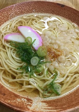 糖質0g麺で・にゅうめん風-レシピのメイン写真